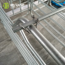 Pig Stall and Cage Solutions for Pig Farms