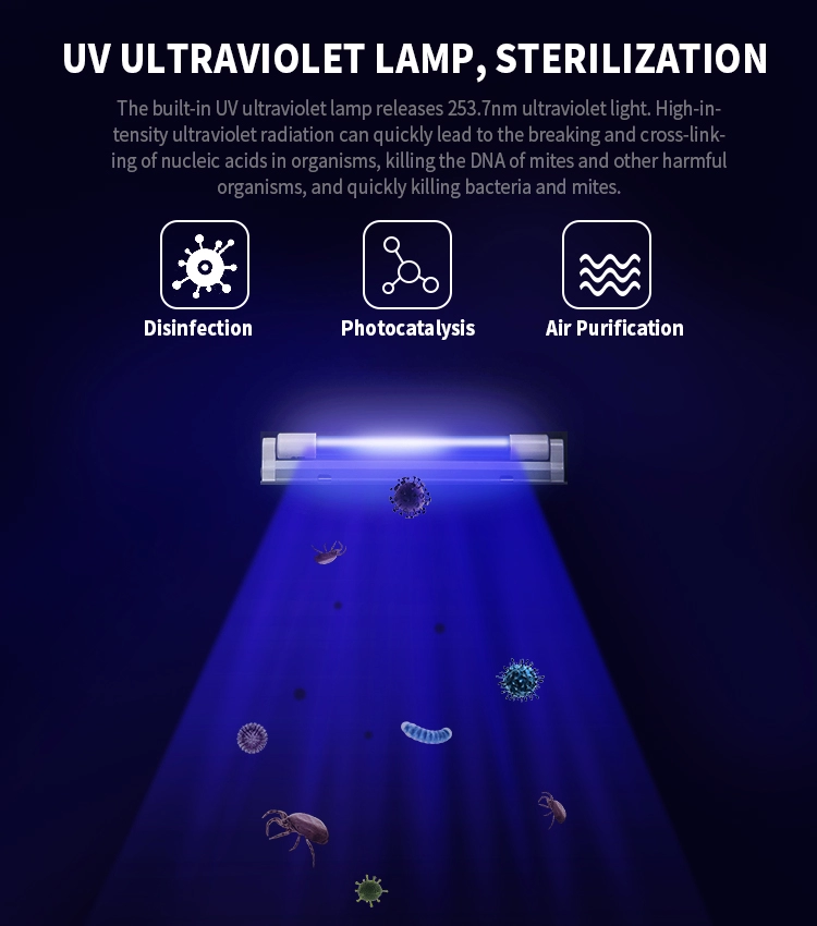 UV LAMP