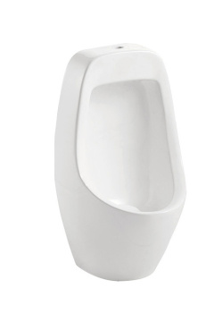 duravit durastyle fienza wall hung urinal