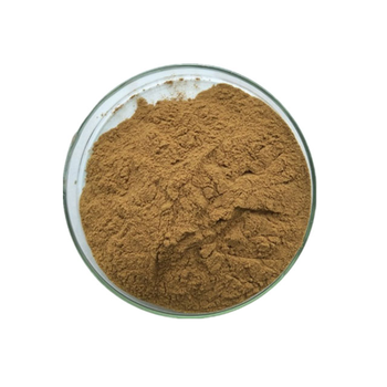 Professional Manufacturer Production Pure Chamomile Extract Powder/Chamomile Flower Extract