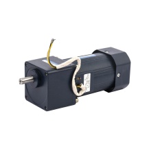 250W AC Reversible Gearmotor