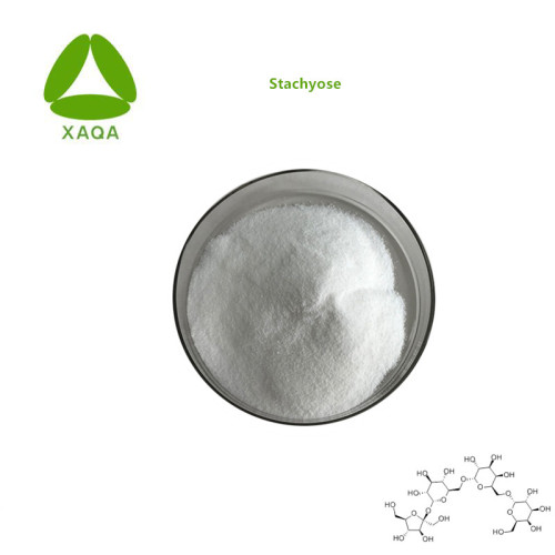 Süßstoff Stachyose Tetrahydrat 80% Pulver
