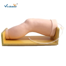 Knee Intra-articular Injection Model