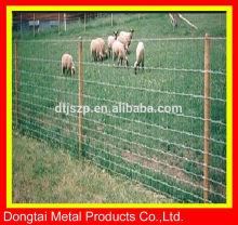 Livestock Metal Fence Panels