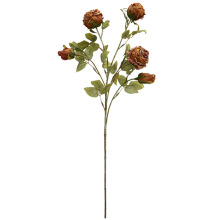 Coral Rose Maylos Arrangement Burnt Edge Rose Manufacturers Direct Sales