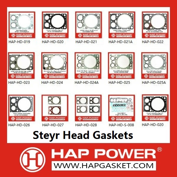 Steyr Head Gaskets