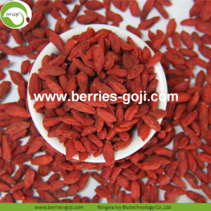 Pasokan Pabrik Nutrisi Kering Organik Goji Berries