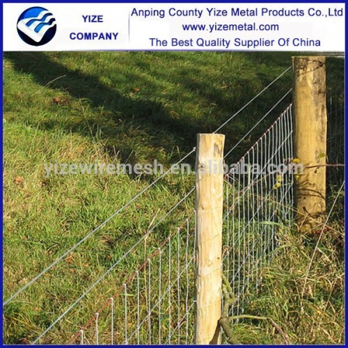 Factory supply high quality farm fence , field fence , cattle fence (cattle fence)