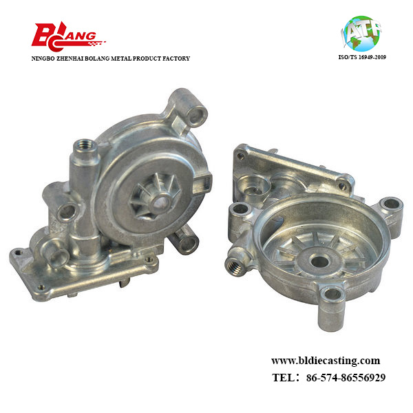 Aluminum Die Casting Walking Motor Housing