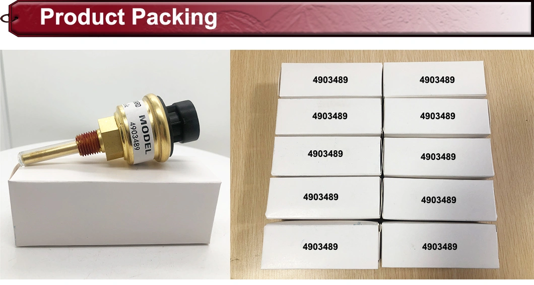 M11 ISM11 Qsm11 Large Genuine Diesel Engine Parts 4903489 Coolant Fluid Liquid Level Switch Sensor