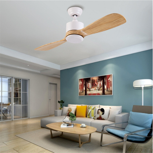 LEDER Ventilatori da soffitto unici con luci