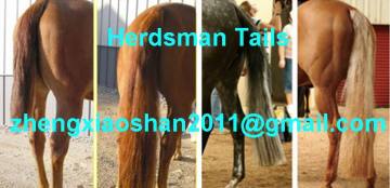 Equine products , saddlery