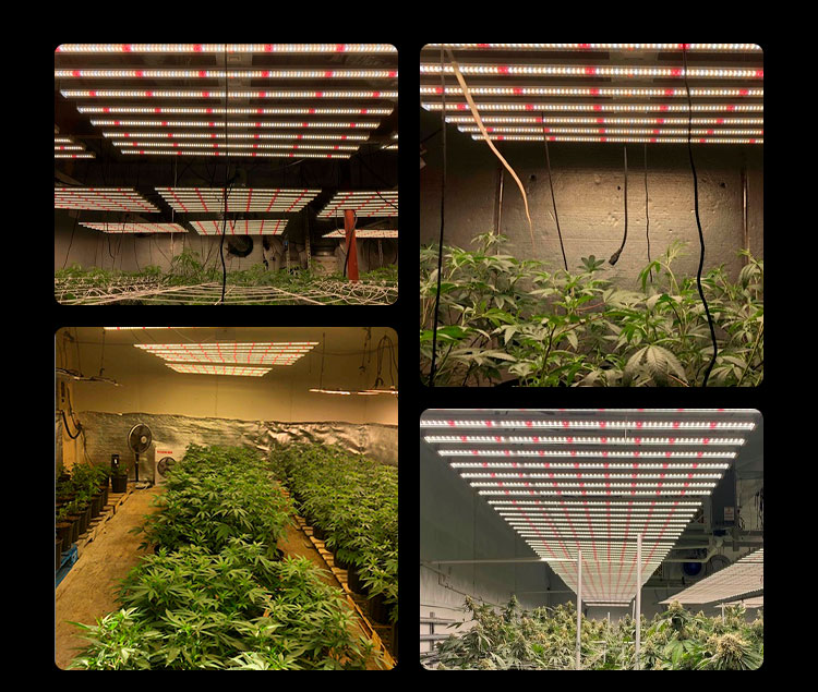 uv ir bar led grow light