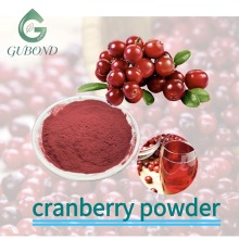 Cranberry Spray Dried Fruit Powder