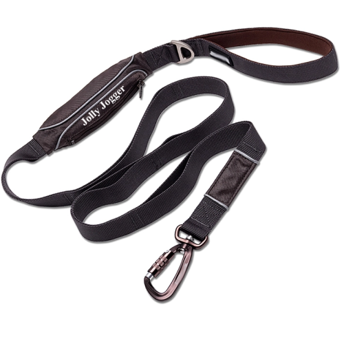 Reflective dog training pouch leash