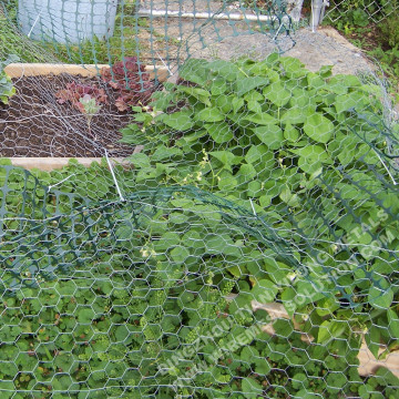 Tela metálica hexagonal galvanizada en caliente para aves de corral