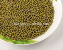 mung beans sprout/green mung bean