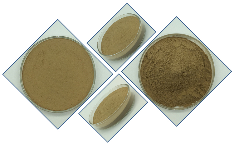 Bacillus Subtilis Bacillus Licheniformis Probiotic Powder for Plant