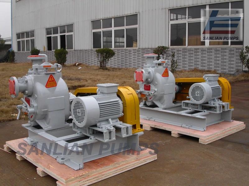 St Self Priming Sewage Water Pump with Factory Price