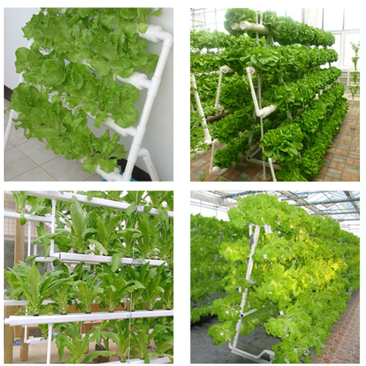 Complete Vertical Indoor Hydroponic Rockwool Cubes