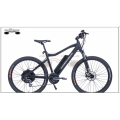 EBIKE COMPANY WHOLESALE MOUNTAIN ELECTRIC BIKE 2017 تصميم جديد FAT TIRE BIKE للبيع