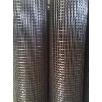 wire mesh dilas galvanis yang dicelup panas