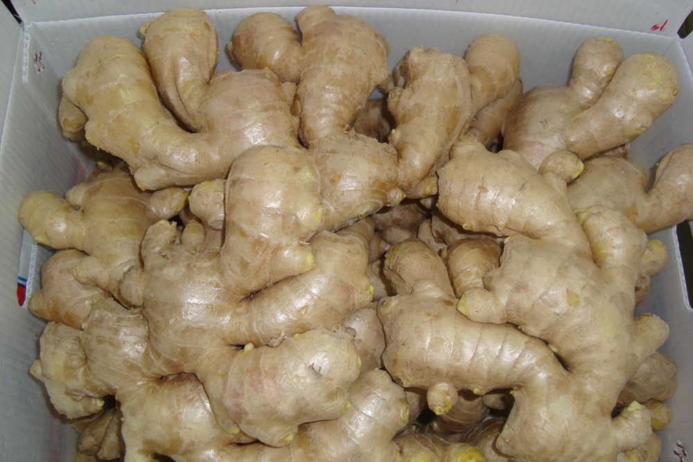 Air dried ginger Air dried ginger
