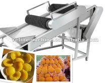 food processing machine/food machine/stainless steel machine/flipping machine/fruit processing machinery