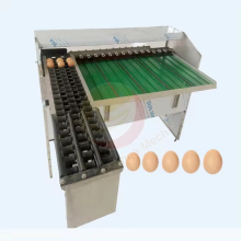 Egg Sorting Machine For Sale: Automatic Egg Grader and Size Sorting Machine