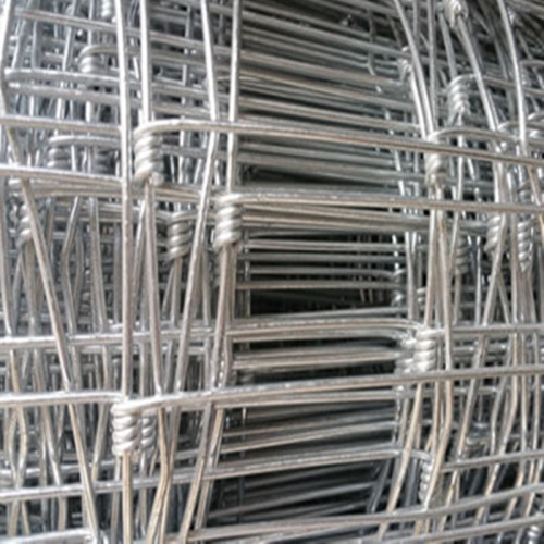 High Standard Electro Galvanized Welded Wire Mesh