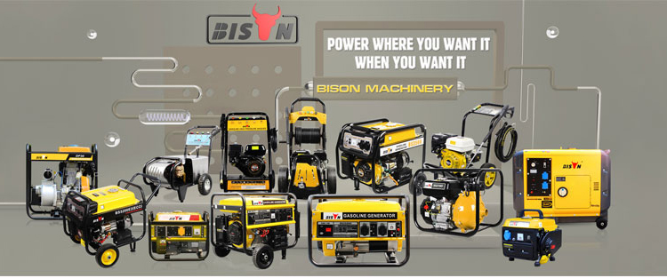 BISON CHINA 2000w Professional Generator 168F-1 6.5HP 50hz Single Phase 230v Gasoline 2kw Backup Generator