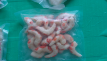 Fresh Frozen Imitation Shrimp