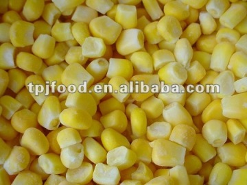 IQF yellow corn/maize