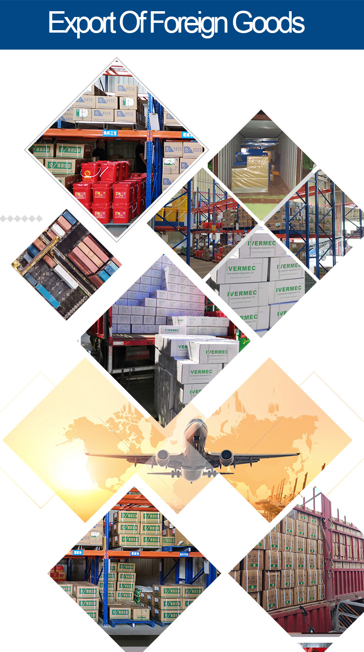 Exporting foreign goods