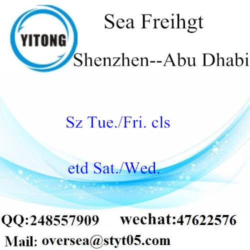 Shenzhen Port LCL Consolidation To Abu Dhabi