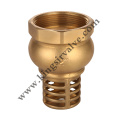 Hot Sale Brass Check Valves KS-7100