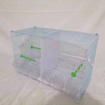 Breeding Bird Cages: Parrots, Canaries, and Other Avian Species