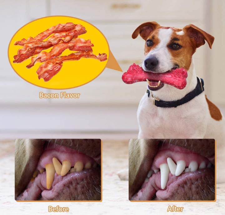 Jouets de morsure de chien Dog Bite Toys