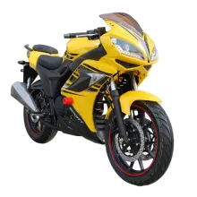 250cc Cool Design Racing Sports Motorcycle