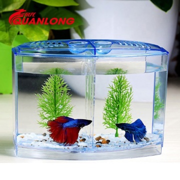 Small Mini Aquarium for Betta Fish - Affordable Options