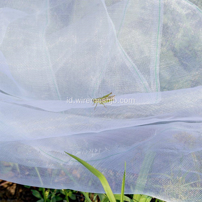 PE Fine Insect Mesh Untuk Kebun &amp; Sayuran