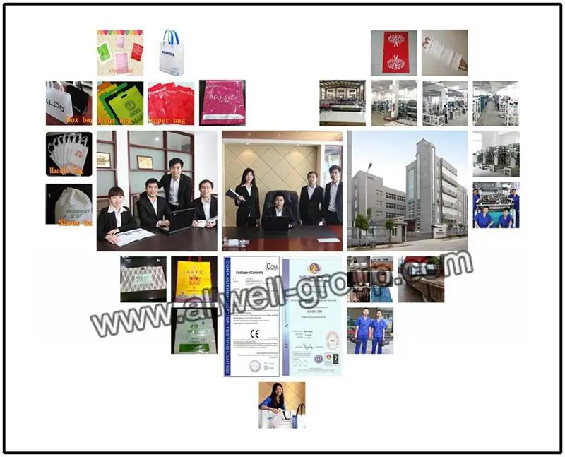 Multifunctional Non Woven Bag Making Machine (AW-A700-800)