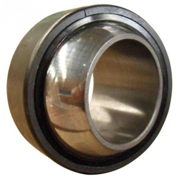 Spherical Plain Bearing (GE100CS-2Z)