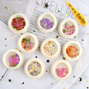1box Small Nail Dried Flowers Decorative Wood Pulp Chips Natural Flower Jewelry Making Craft DIY 3d Nail Art Decorations