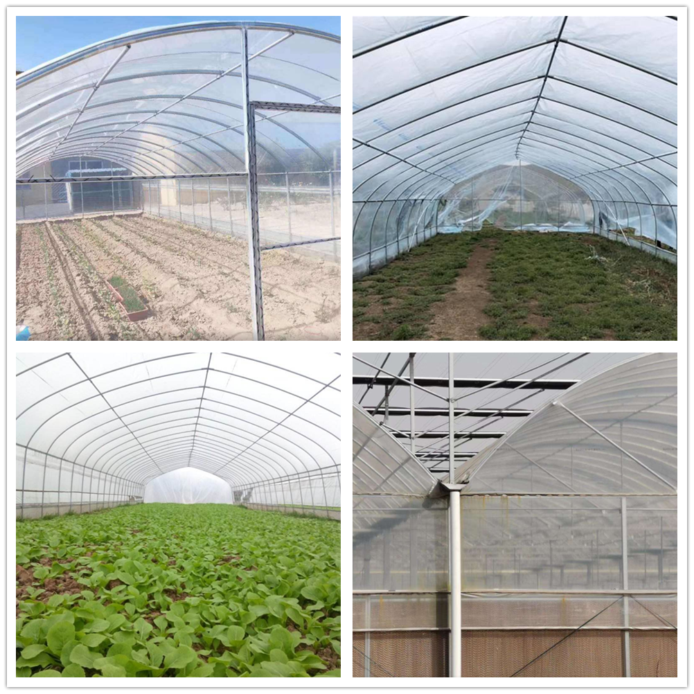 Agricultural Steel Galvanized Pipes for Greenhouse