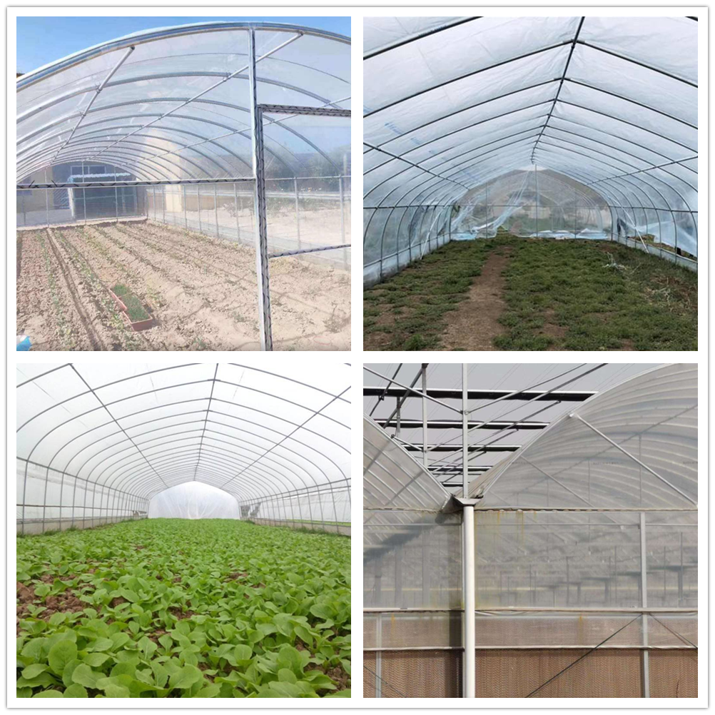 Industry Prefabricated Prefab Fabricated Modular Modern Greenhouse Pipe