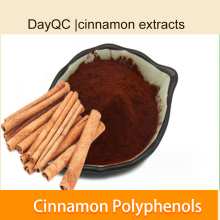 cinnamon extracts Cinnamon Polyphenols