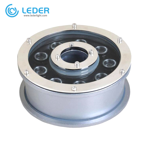 LEDER stainless steel IP68 6W LED Pool Light