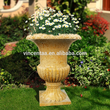 Importer Directory Plants for Large Planters VFP-N001