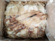 Frozen Whole Round Squid Illex Argentinus